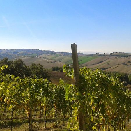 Agriturismo Le Vigne フェルモ エクステリア 写真