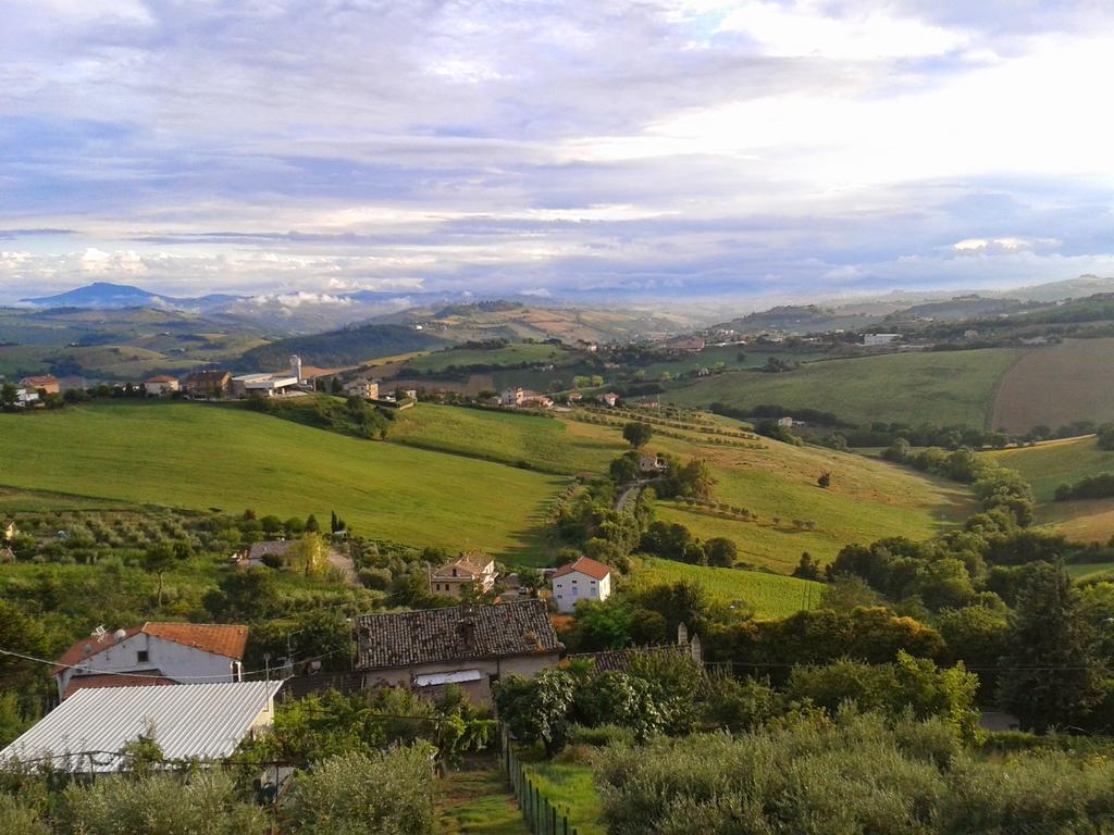 Agriturismo Le Vigne フェルモ エクステリア 写真