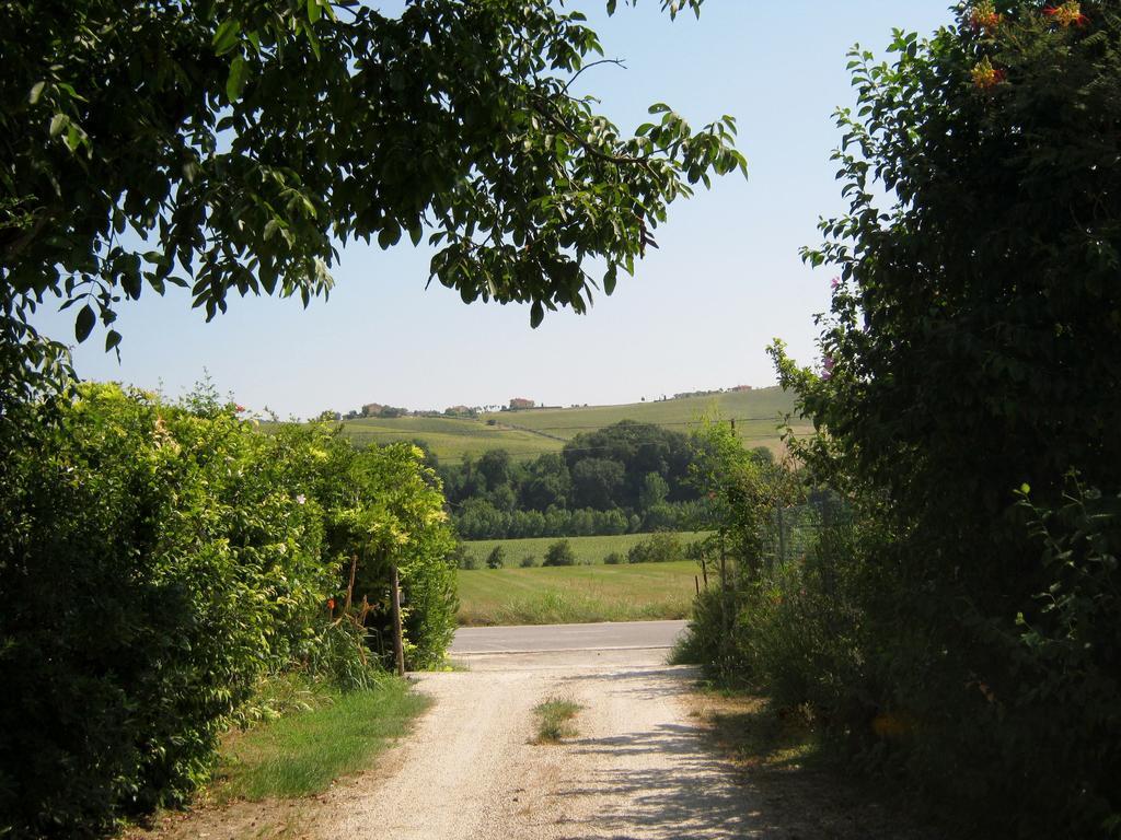 Agriturismo Le Vigne フェルモ エクステリア 写真