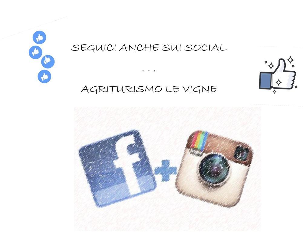 Agriturismo Le Vigne フェルモ エクステリア 写真